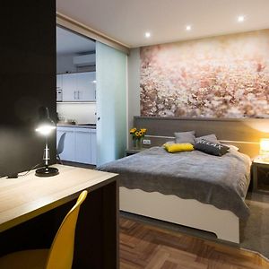 Studio Appartement